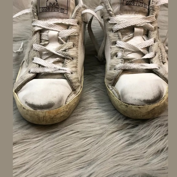 Golden goose - Picture 2 of 8